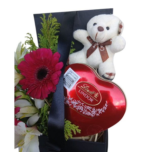 Gérbera Do Amor e Chocolate Lindt
