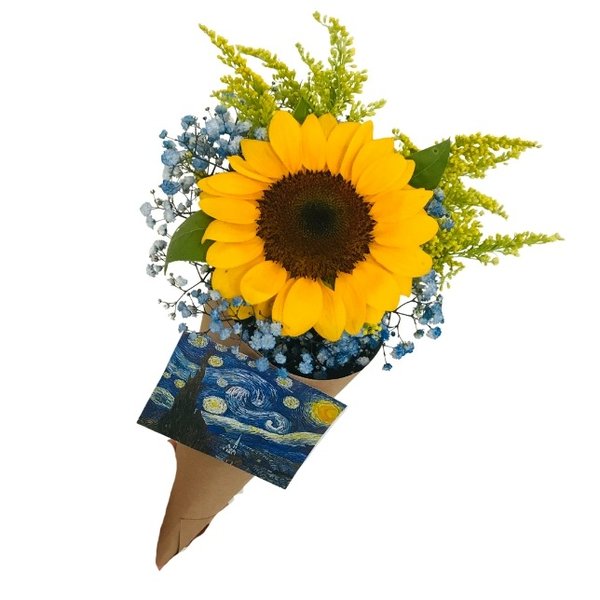 Cone Van Gogh