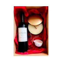 Imagem de Kit Instinto Silencioso