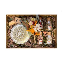 Imagem de Caixa Afetiva Prímula