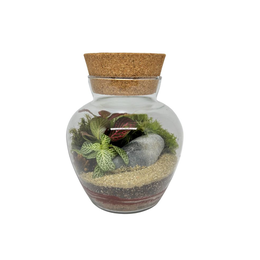 Imagem de Terrário Bojudo Pequeno