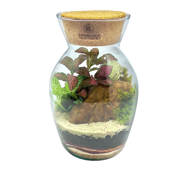 Terrário Tropical