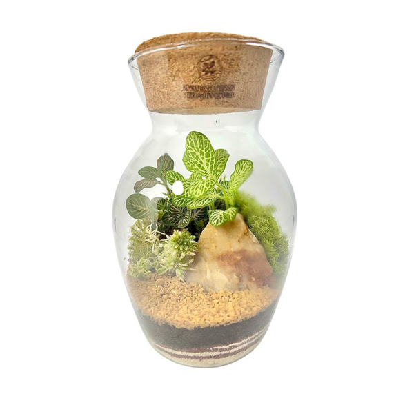 Terrário Tropical