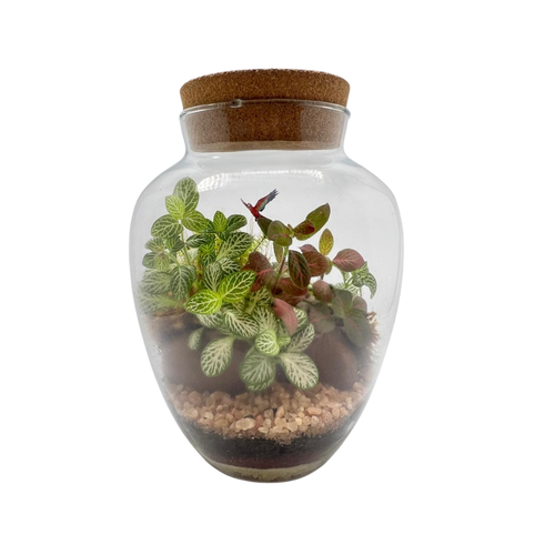 Terrário Arara Médio