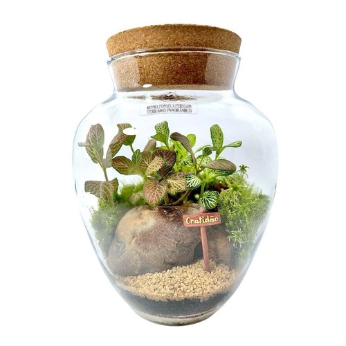 Terrário Placas Gratidão