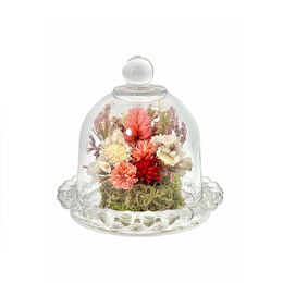 Imagem de Mini Redoma Celosia