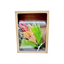 Imagem de Buquê Desidratado Libelula Pequeno