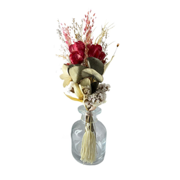 Imagem de Arranjo Desidratados R Bouganville