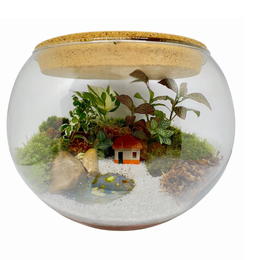 Imagem de Terrário Aquario Grande