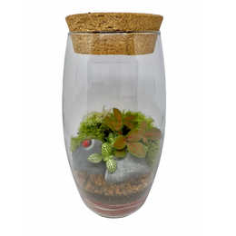 Imagem de Terrário Romeu Médio