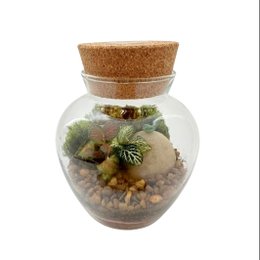 Imagem de Terrário Pera Pássaro 