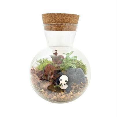Terrário Singapura Panda