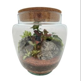Imagem de Terrário Suécia 