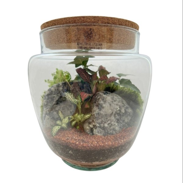 Terrário Suécia 