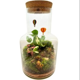 Imagem de Terrário Balões Garrafa