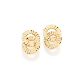 Imagem de Brinco Formado Por Círculos Trabalhados Entrelaçados