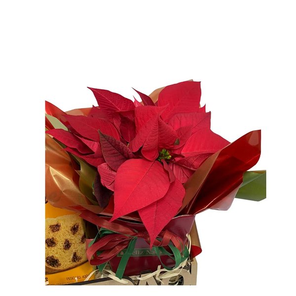 Bandeja Gratidão Natal Encantado