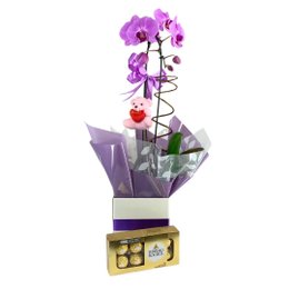 Imagem de Orquídea Lilás Com Pelucia Chaveiro e Ferrero rocher