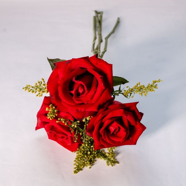 Mimo de Rosas Vermelhas
