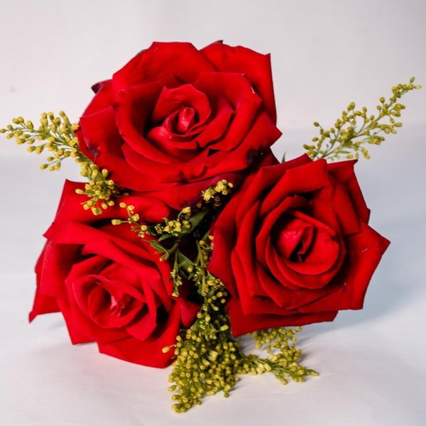 Mimo de Rosas Vermelhas