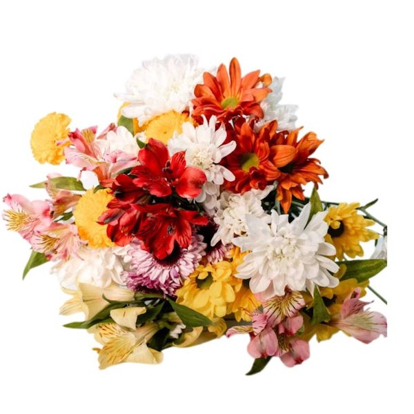 Mix de Flores do Campo e Astromélias