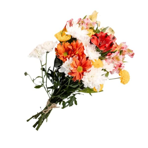 Mix de Flores do Campo e Astromélias