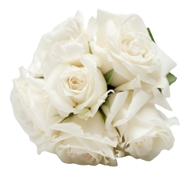 Buquê de Lindas Rosas Brancas