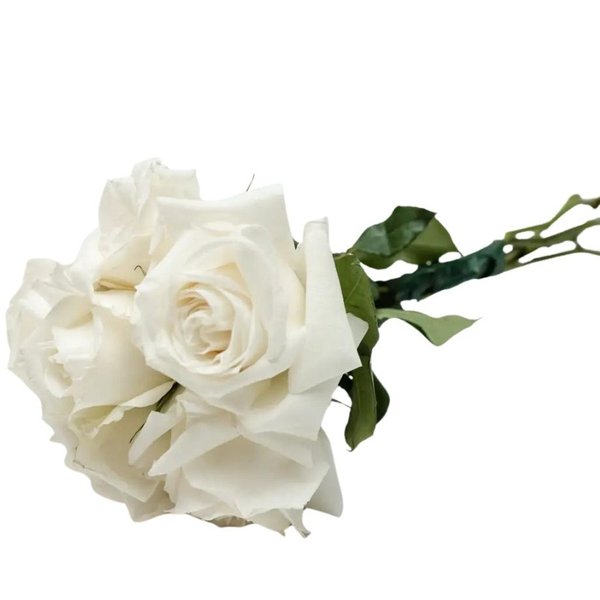 Buquê de Lindas Rosas Brancas