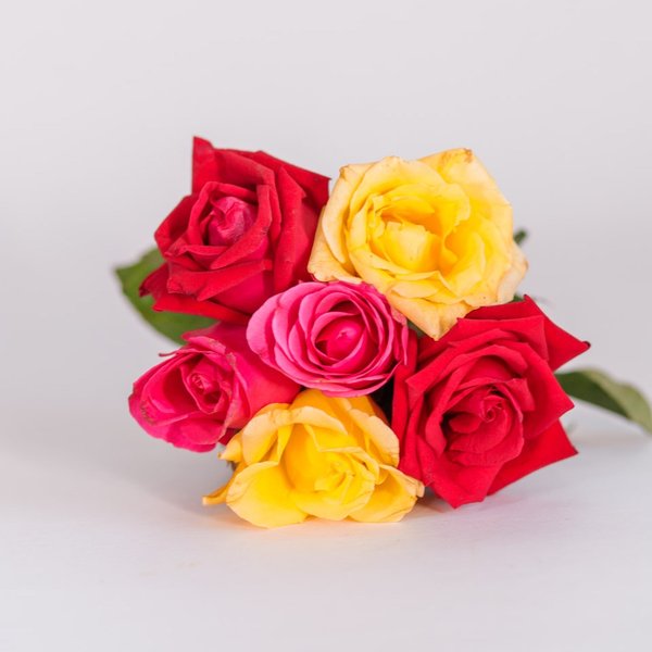 Buquê de 6 Rosas Coloridos