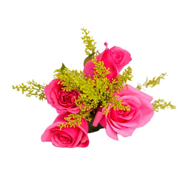 Mimo de Rosas Pink