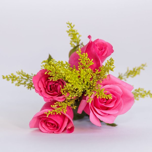Mimo de Rosas Pink