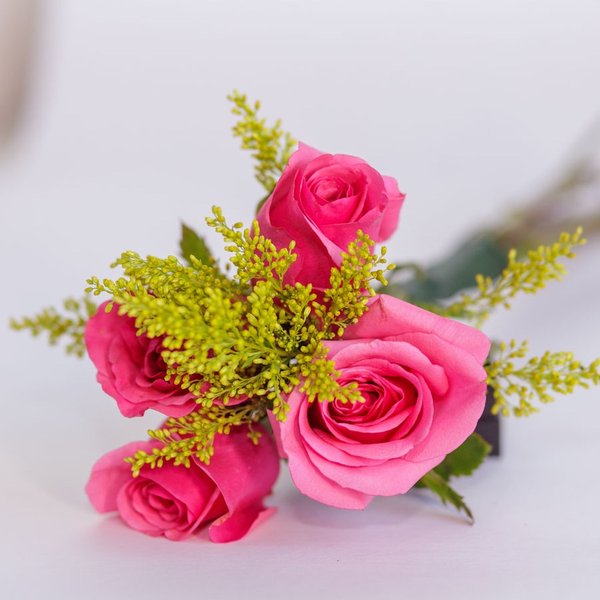 Mimo de Rosas Pink