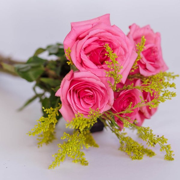 Mimo de Rosas Pink