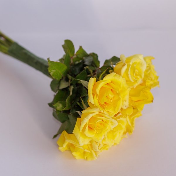 Buquê Rosas Amarelas