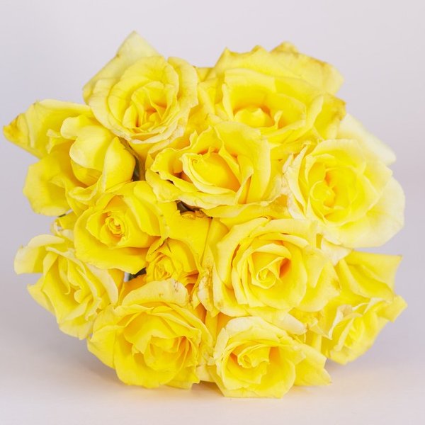 Buquê Rosas Amarelas