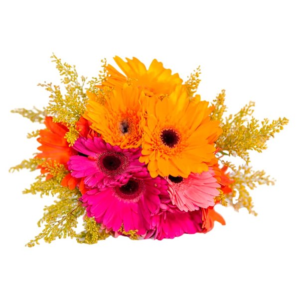 Buquê de Gérberas Primavera