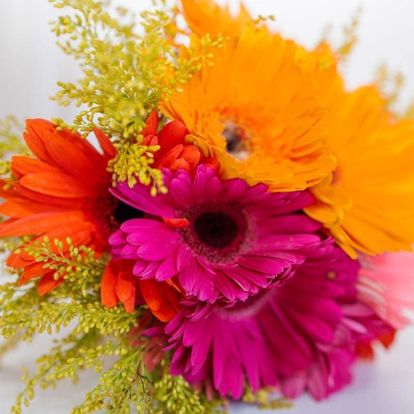 Buquê de Gérberas Primavera