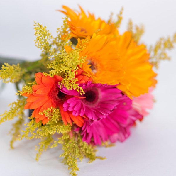 Buquê de Gérberas Primavera