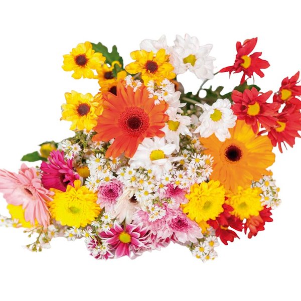 Mix de Flores do Campo e Gerberas 
