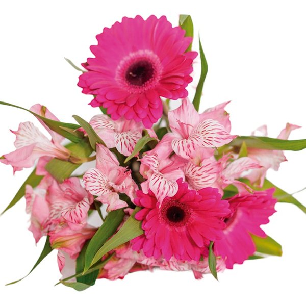 Mix de Gérberas e Atromélias Rosadas