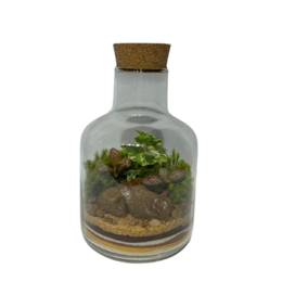 Imagem de Terrário Kaleb