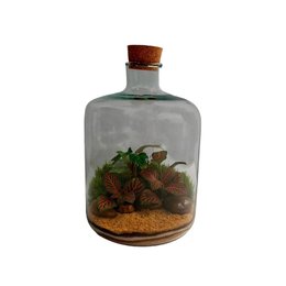 Imagem de Terrário Amazônia Pequeno