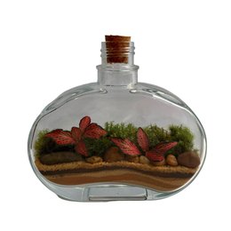 Imagem de Terrário Jolie