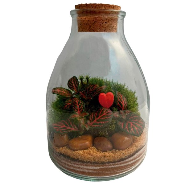 Terrário Elegance