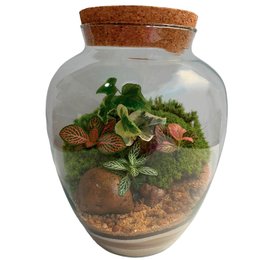 Imagem de Terrário Lilly