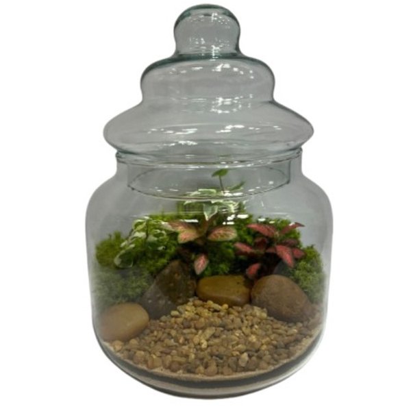 Terrário Encanto