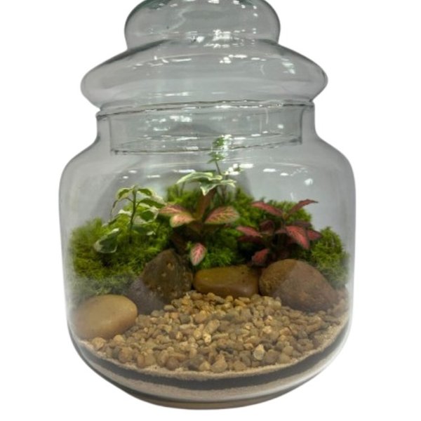 Terrário Encanto
