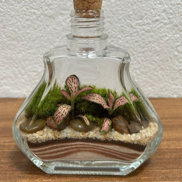 Terrário Esmeralda