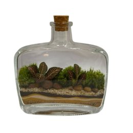 Imagem de Terrário Van Gogh