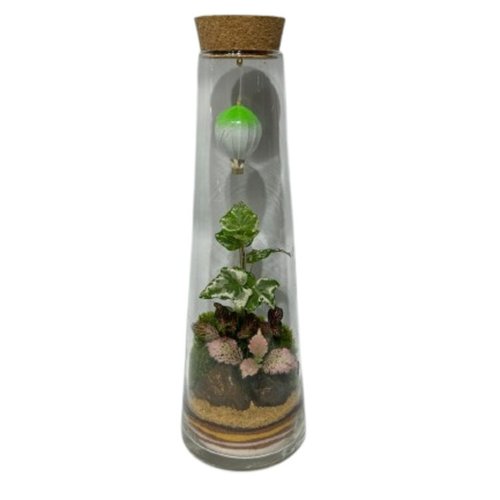 Terrário Sonhos Flutuantes